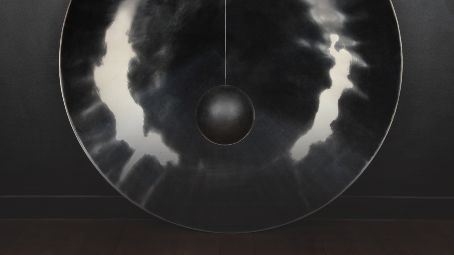 Vladimír Škoda, Kora, 1995–1996