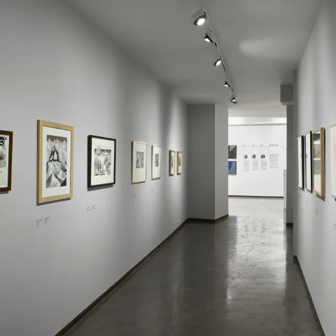 Výstava Stopy paměti. Ozvěny Bruselu