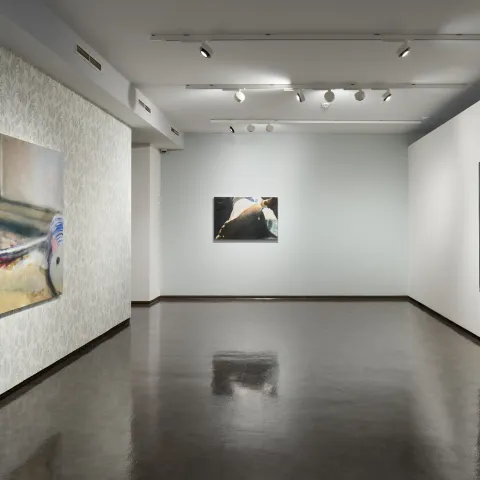 Zbyněk Sedlecký, výstava Lokace